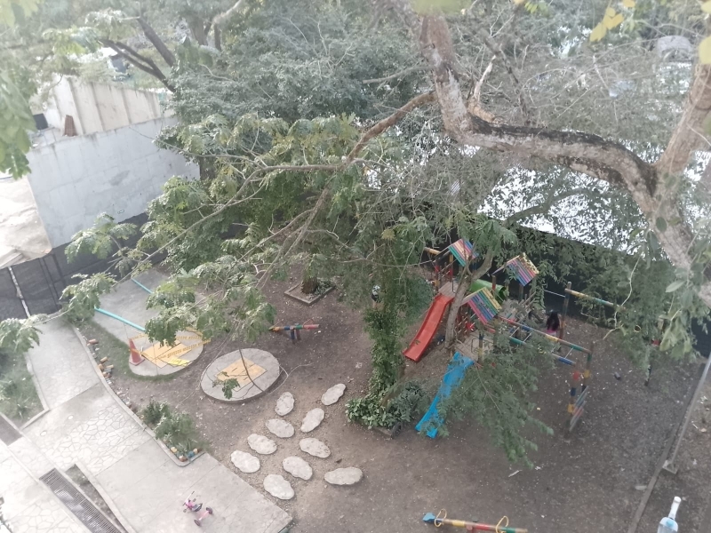 WhatsApp Image 2025-12-26 at 12.04.16 PM (1).jpeg